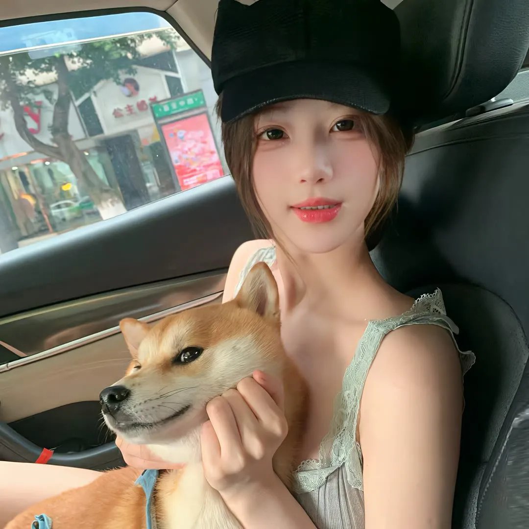 追羊孖宝